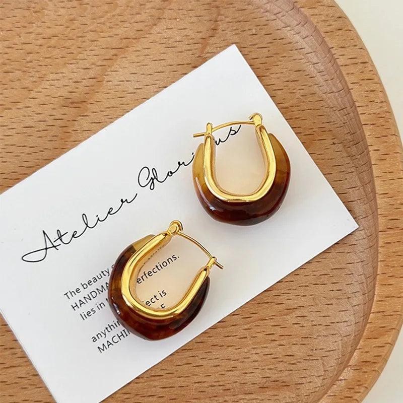 Boucles d'oreilles anneau acrylique
